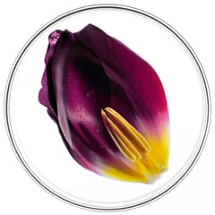 Phytocyane KURACJA PRZECIW WYPADANIU WŁOSÓW DLA KOBIET