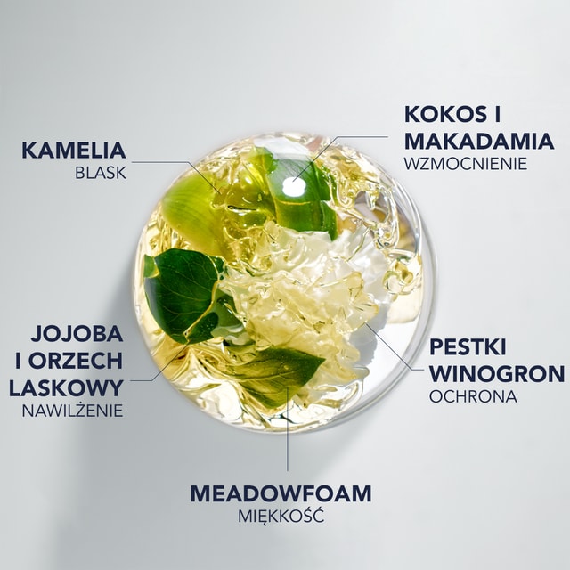 7 DROGOCENNYCH OLEJKÓW ROŚLINNYCH